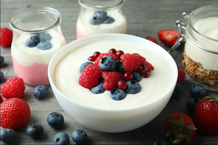 Homemade Greek yogurt in jars — a practical source of live cultures that support the gut environment for Akkermansia