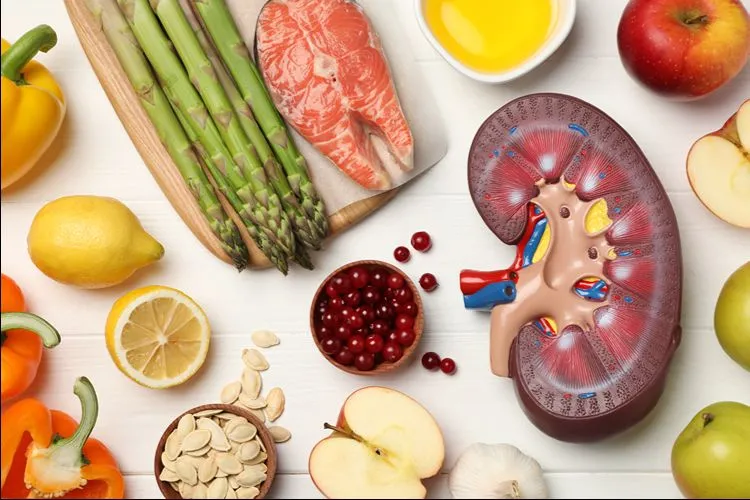 Healthy foods including salmon, vegetables and cranberries — dietary changes that support Akkermansia also support metabolic health